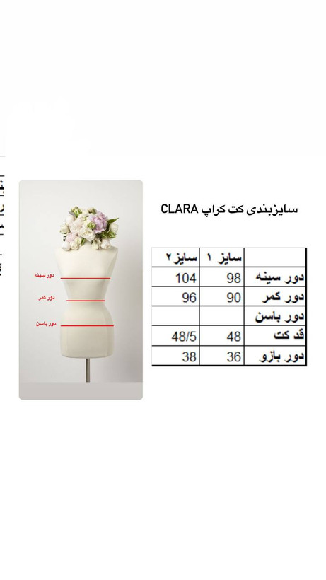 کت کراپ زنانه / دخترانه Clara